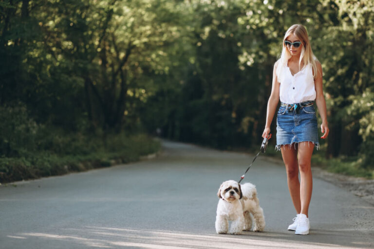 La routine avec son animal de compagnie